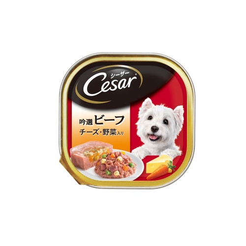 V[U[r[t`[YPOO