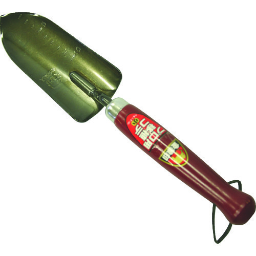 vpڐARe