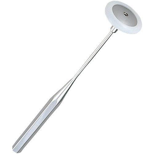 FioMXL[jjt