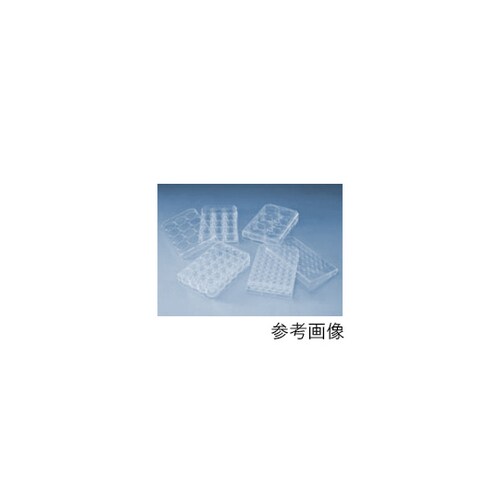 PWQO|OQSV|{}CNv[g