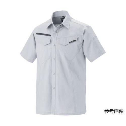 �����V���c�@�V���o�[�O���[