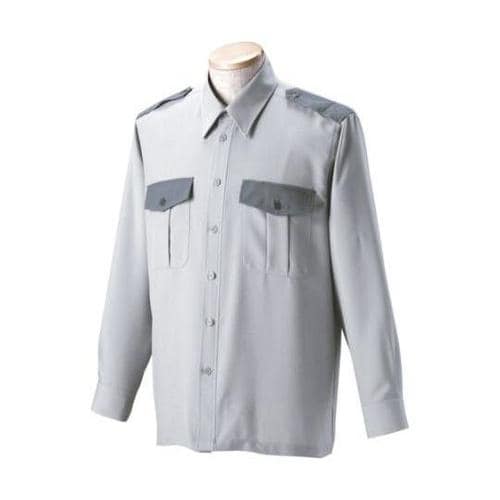 �ؑ֒����V���c�@���C�g�O���[