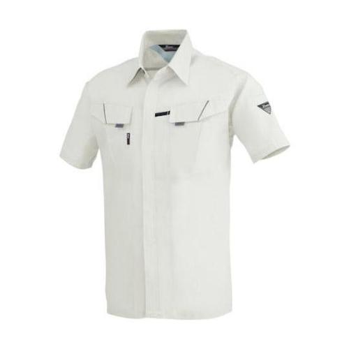 �����V���c�@�V���o�[�O���[