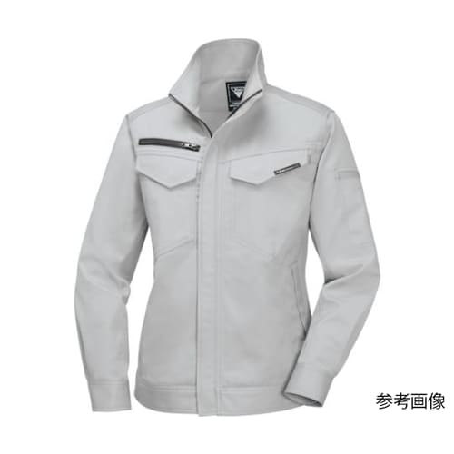 ���f�B�X�����u���]���@�V���o�[�O���[