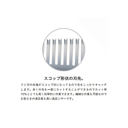 JbgZjOVU[@ӒV[Y@U