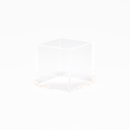 ANTCR@Tʑ́@TOp@PQO