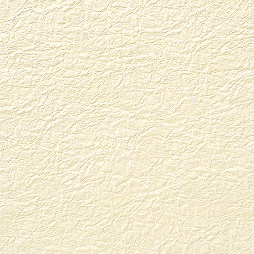 a̎qG{XmnDRN[T~SO