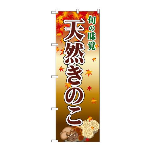 ̂ڂQVUSVR̂
