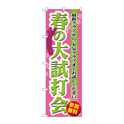 ̂ڂfma|TTPt̑厎ŉ