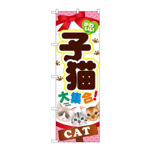 ̂ڂfma|TTSqLW
