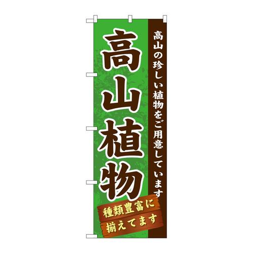 ̂ڂfma|POVQRA