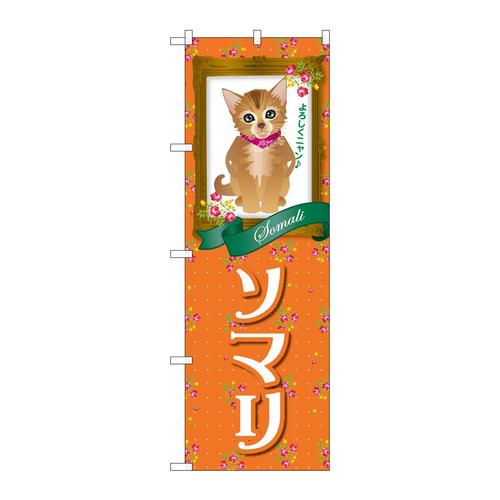 ̂ڂfma|QSSW\}