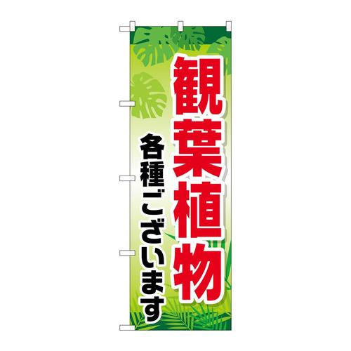 ̂ڂfma|QTRPϗtAe킲