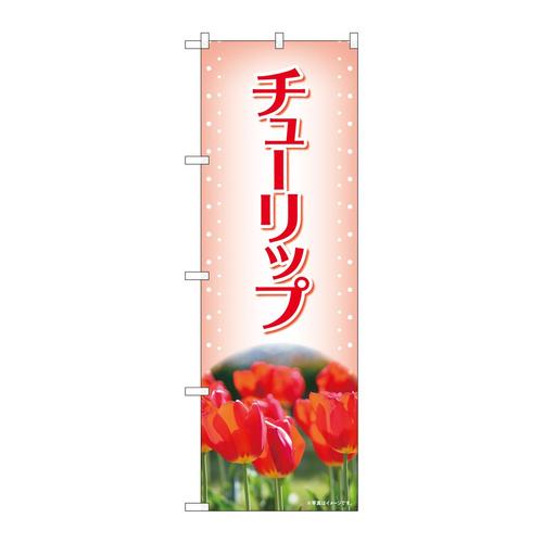 ̂ڂWSQQQ`[bvԎʐ^nsl