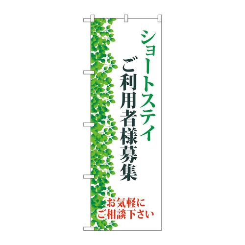 ̂ڂfma|SRWXV[gXeCpҗlW
