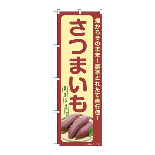 ̂ڂrma|VQVU܂