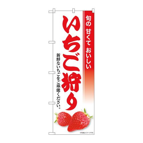 ̂ڂrma|WSQR