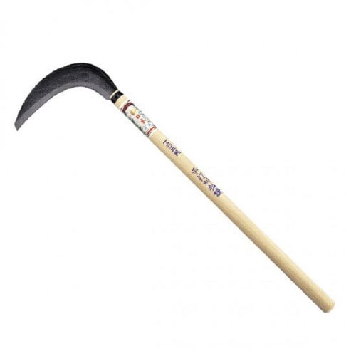 Ŋ
