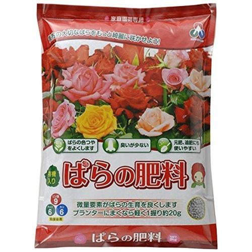 ΂̔엿