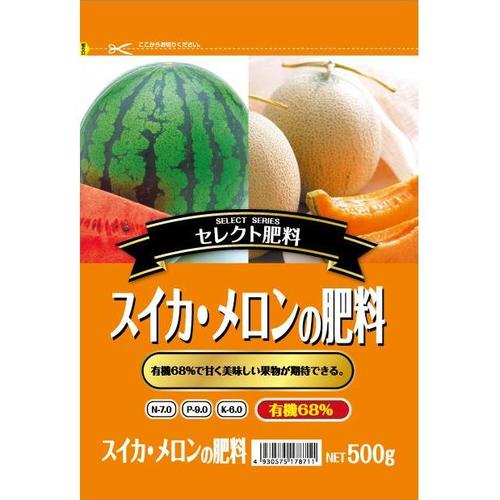 XCJE̔엿