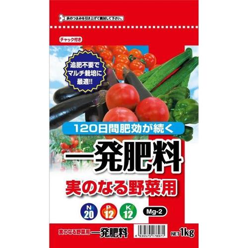 ꔭ엿@ʍؗސp@P