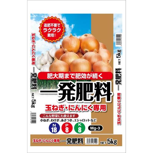 ꔭ엿