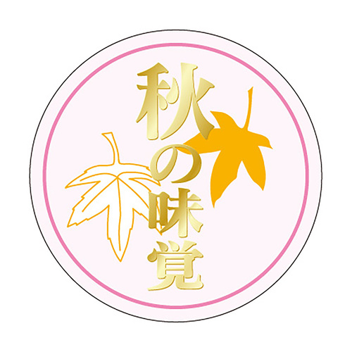 Hi\x@V[@H̖o