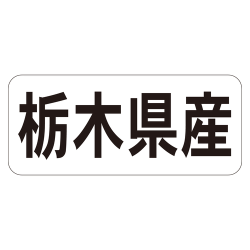 Nx@V[@Ȗ،YR@RZbg
