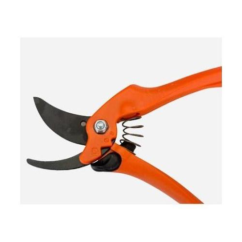 QOO@͂݁EiEj@d`