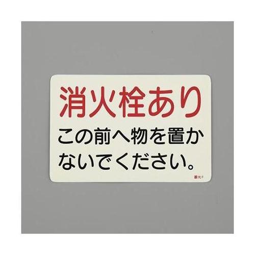 PTOQQT@ΊWXebJ[