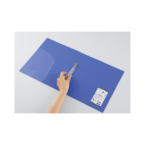 および （まとめ）ライオン事務器フラットファイル : 文具 となる