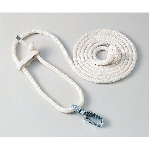 �����p���i