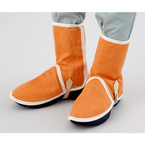 ϔMEϐؑnی@xr|o`@Jo[