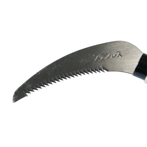 XeX@