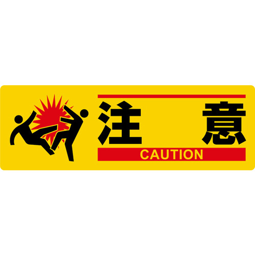 CXgW