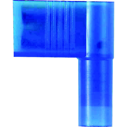 CgAO≏fBXRlNgiX^j