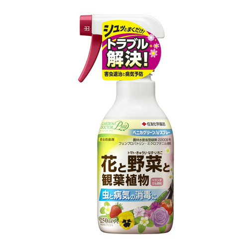 xjJO[uXv[