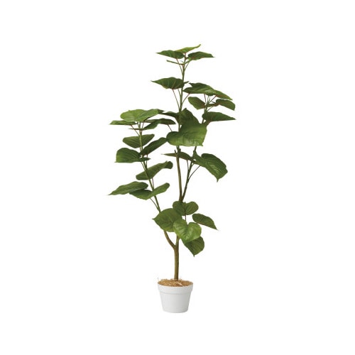 フィカスウンベラータ 人工樹木
