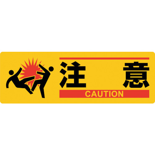 CXgW