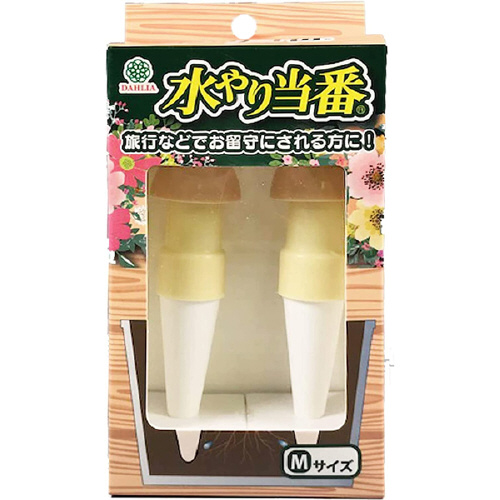 V蓖ԂlTCY