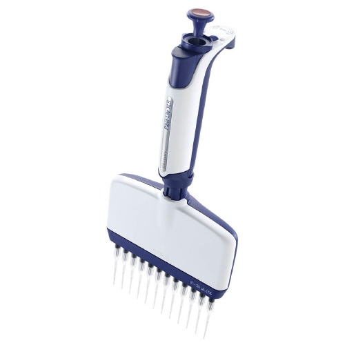 sybgCg@wkr{@kPQ|QOwkr{