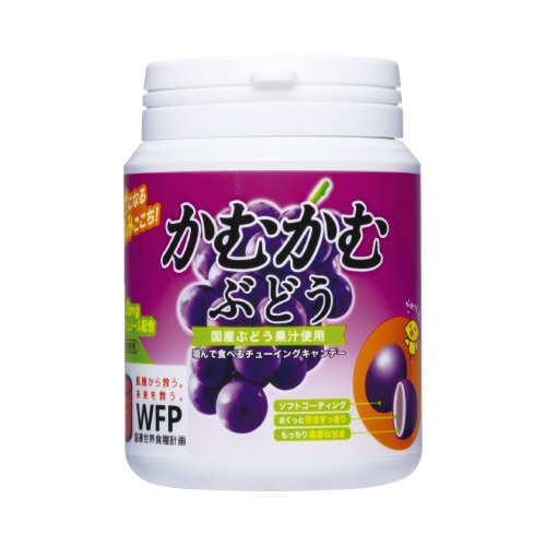 かむかむぶどう12個 三菱食品 かむかむぶどう120gボトル 3個の通販｜カウネット