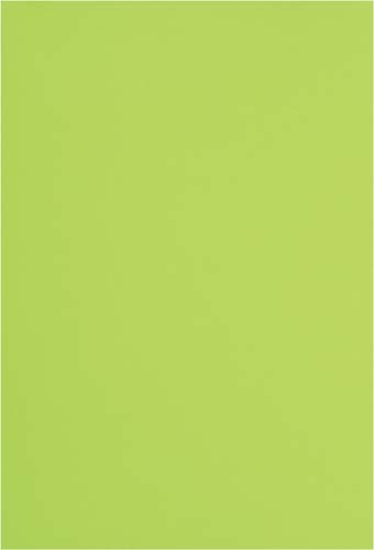 カウネット 色画用紙 四つ切 黄緑 １セット ５枚 ２０入 業務用 カウネット