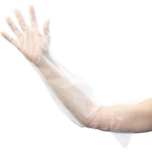ĝĂ҂tBbgO܂riPOOj