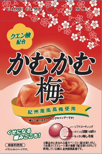 三菱食品 かむかむ梅３０ｇ １０個 ３業務用 カウネット