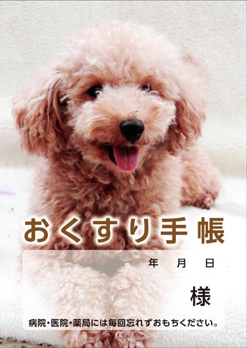 蒠@ʁ@SOo@TO