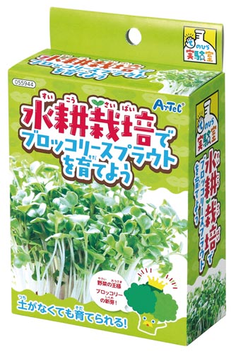 k͔|ŃubR[Ă悤