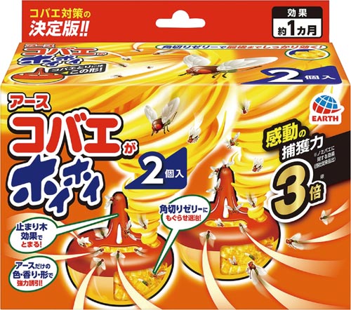 アース製薬 コバエがホイホイ 2個 5パック カウネット アース製薬 コバエがホイホイ 2個 5パック カウネット