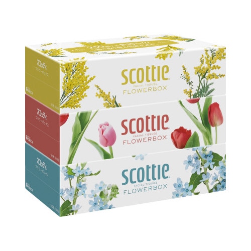 �X�R�b�e�B�@�e�B�V���[�@�t�����[�@��e��