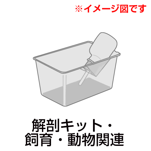 Mh葕uhbSSRXOf
